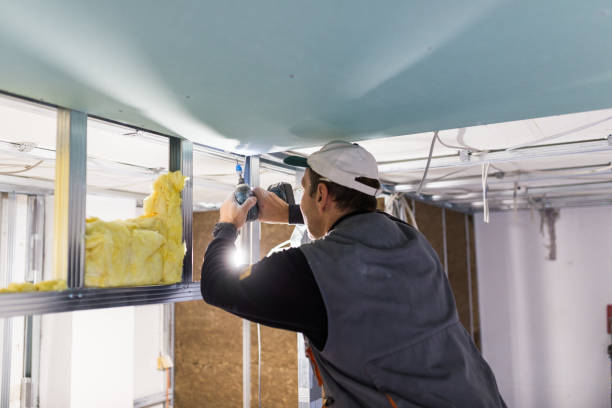 Best Spray Foam Insulation  in Varnell, GA