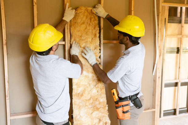 Best Insulation for New Construction  in Varnell, GA